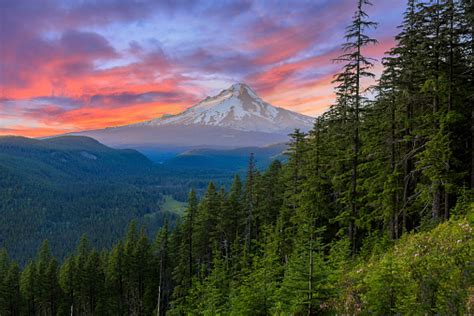 Beautiful Vista Of Mount Hood In Oregon Usa Stock Photo Download