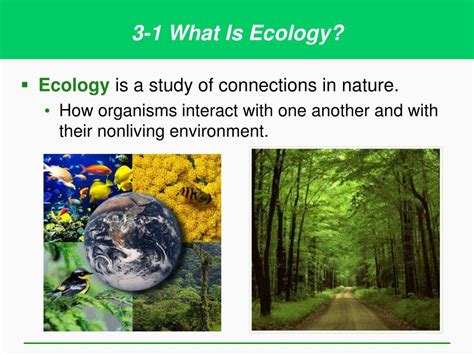 Ppt Ecosystems What Are They And How Do They Work Powerpoint