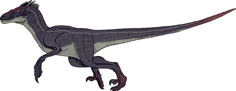 Jurassic Park 3 Male Velociraptor Clipart Full Size Clipart 1801700 Pinclipart