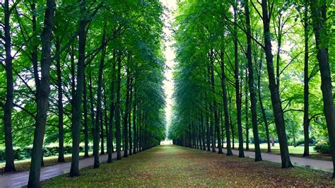 We did not find results for: Französischer Garten #Celle #Allee | Französischer garten ...