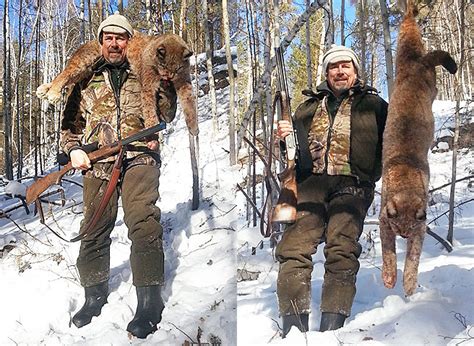 Lynx Hunting In Irkutsk Total Success Profihunt Profihunt