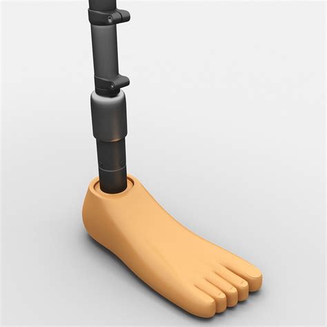 Prosthetic Leg 3ds