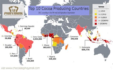 Cocoa Production Where Is Cocoa Grown Around The World