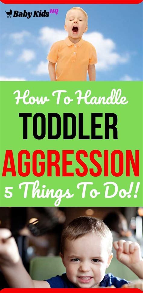 How To Handle The Toddler Aggression 5 Things To Do 2021