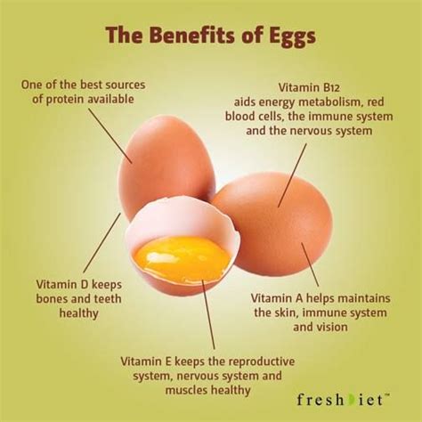The Benefits Of Eggs Egg Benefits Egg Health Health Benefits Of Eggs