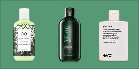 12 Best Shampoos Of 2020 Laptrinhx News