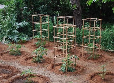 10 Cheap And Easy Diy Tomato Cages Gardeners Magazine Tomato Cages