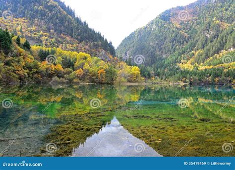Five Flower Lake Jiuzhaigou Stock Image Image Of Beauty Jiuzhaigou