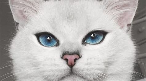 Majestic Cat Has The Most Blue Tiful Eyes Youll Ever See