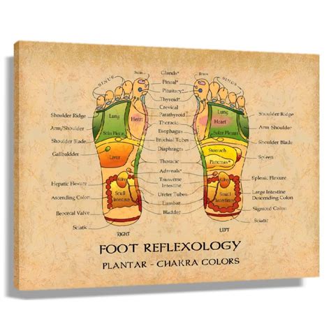 Foot Reflexology Massage Knowledge Poster Chart Wall Art Framed Prints