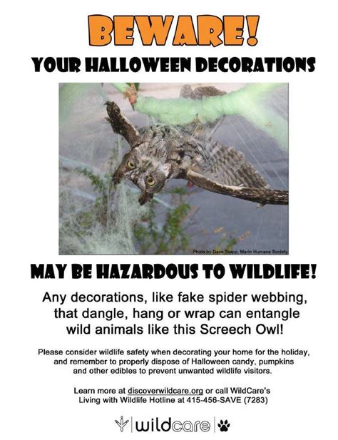 The Dangers Of Halloween Spider Web Decorations