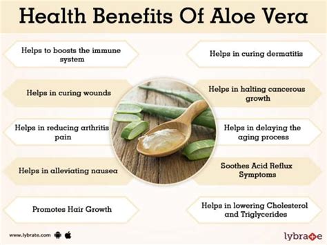 Benefits Of Aloe Vera And Its Side Effects Lybrate
