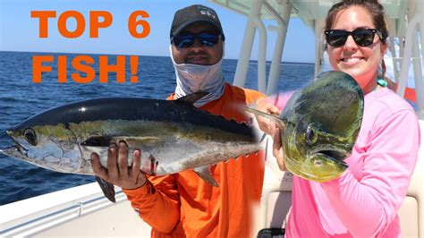 6 Top Saltwater Fish To Eat Youtube