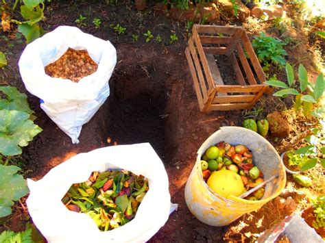 ¿qué Desechos Sirven Para Hacer El Compost Y ¿cuáles No 🍕