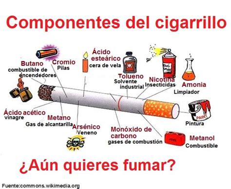 Infografía Componentes Del Cigarrillo Curriculum Nacional Mineduc