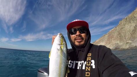 California Yellowtail Catch And Cook With Fknchristoph Episode 1 Youtube