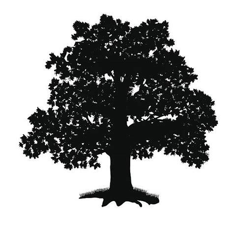 Vector Clip Art Tree