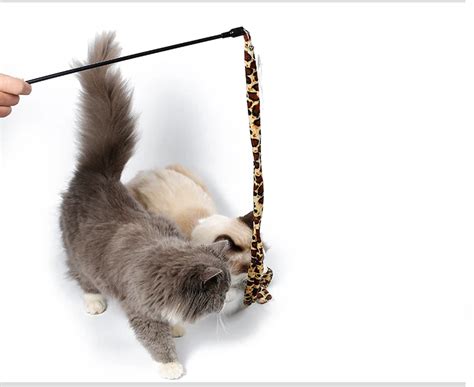 Cat Dangler Cat Teaser Wand With Bell Interactive Cat Toy Buy