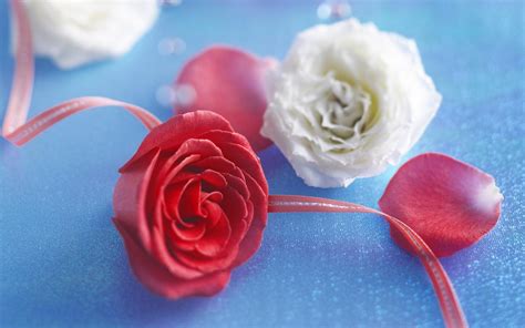 Romantic Roses Roses Wallpaper 13966035 Fanpop