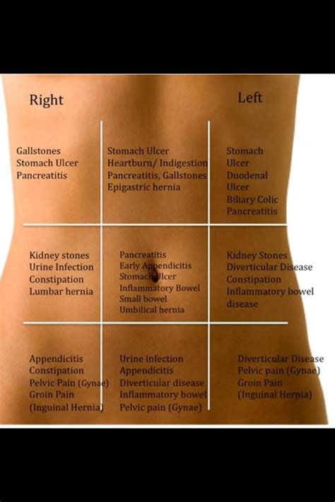 Organ Location Chart Health Tips Health Info Health Fitness