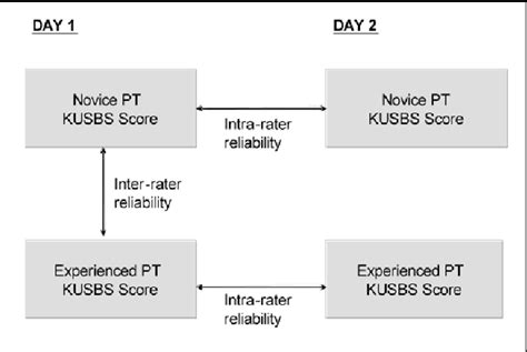 Figure 1 From Reliability Responsiveness And Validity Of The Kansas