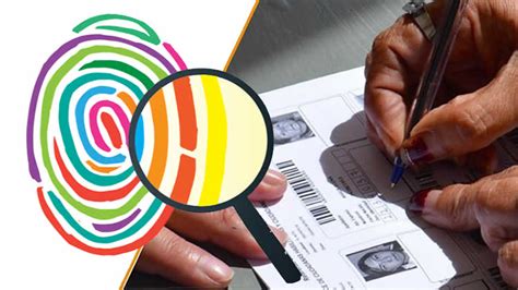 El padrón electoral biométrico está en condiciones de garantizar una elección segura y transparente después del intenso trabajo de saneamiento realizado por el tribunal. OEP ratifica que padrón biométrico electoral es "confiable"