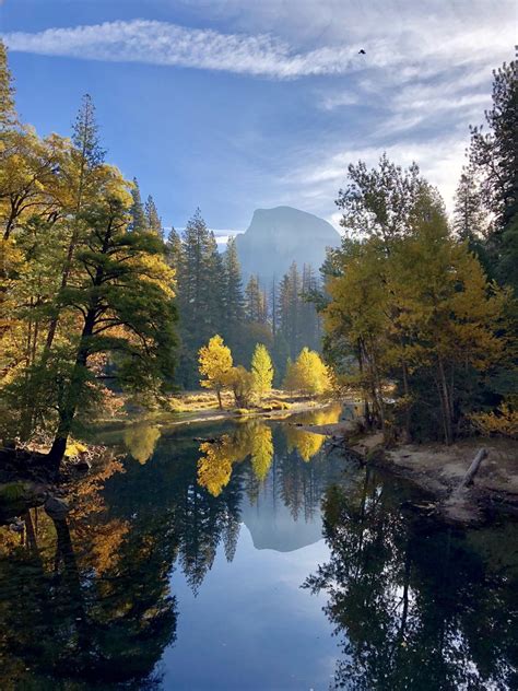 Fall Foliage Reflecting Off The Merced Yosemite National Park Ca Usa