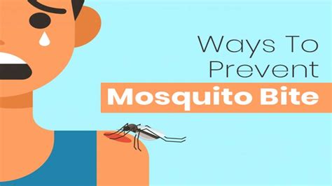 10 Natural Ways To Prevent Mosquito Bites