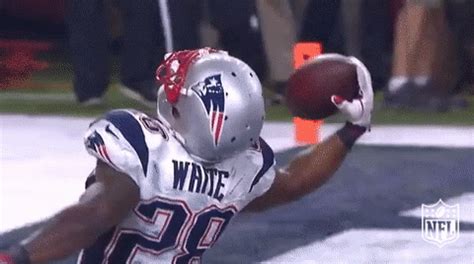We did not find results for: New England Patriots GIF by NFL - Find & Share on GIPHY