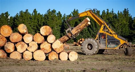 How To Start A Logging Company