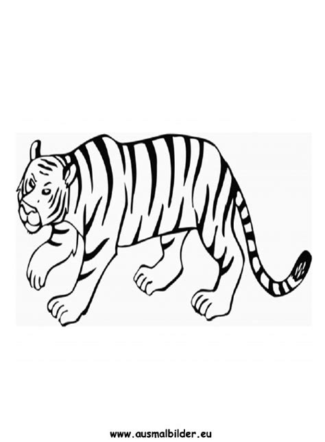 Ausmalbilder Tiger Tiger Malvorlagen