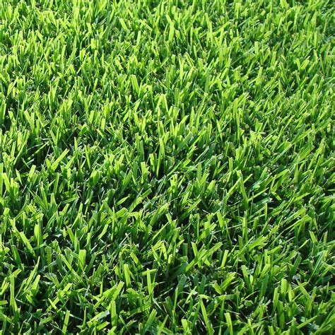 Read our tips of caring for your zoysia grass. Zoysia Varieties Professionally Installed | San Antonio Landscaping