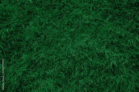 Dark Green Grass Texture And Background Stock Photo Adobe Stock