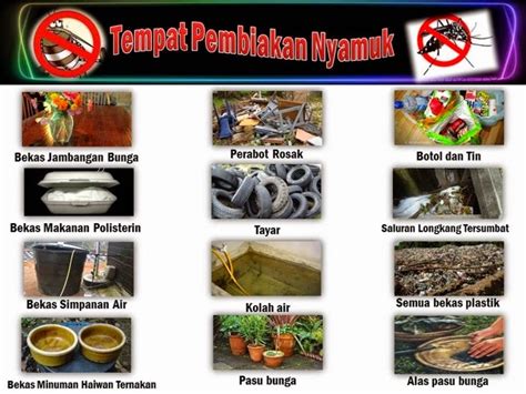 Pembawa denggi yang utama di malaysia ialah aedes aegypti. Bagaimana Cara Denggi Merebak? - Healthy is a Lifestyle