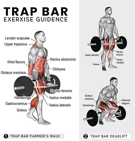 For Trap Bar Deadlift Whats The Best Rep Range To Build Muscle In