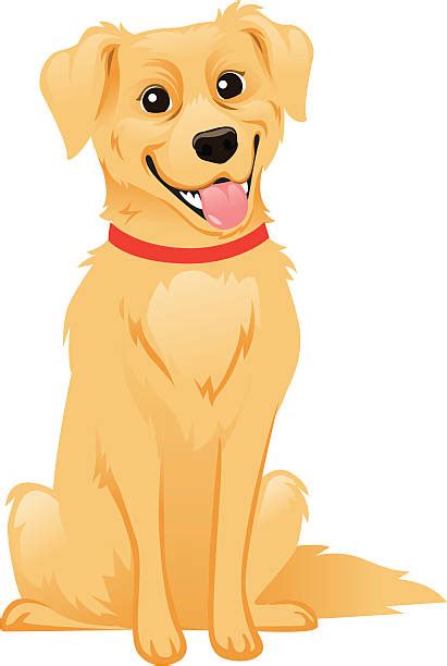 Golden Retriever Clip Art Vector Images And Illustrations Istock