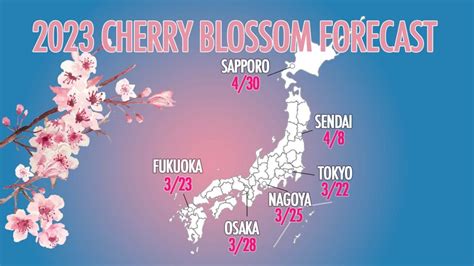 Sakura Forecast 2023 Early Cherry Blossoms Expected In Tokyo Japan