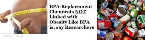 Bpa In Food Containers Linked With Obesity But Not Replacement