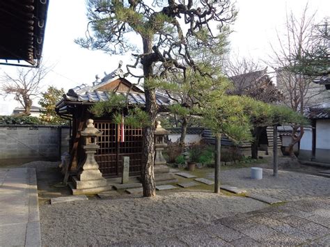 2014年1月31日のブログ記事一覧 Amadeusの「京都のおすすめ」 ブログ版（観光）