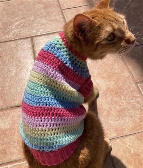 Crochet Pattern Rainbow Cat Sweater Etsy Uk