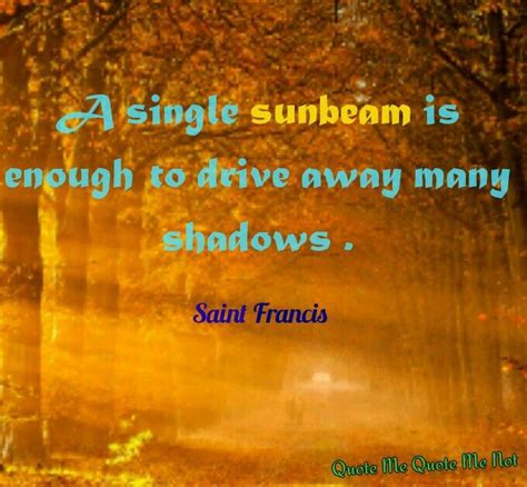 A Single Sunbeam Is Enough To Drive Away Many Shadows ~ Saint Francis