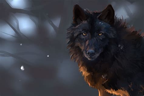 Search free wolf wallpapers on zedge and personalize your phone to suit you. Dark Wolf Wallpaper (63+ images)
