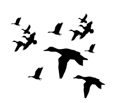 Duck Flying Silhouette Clipart Best Duck Silhouette Silhouette