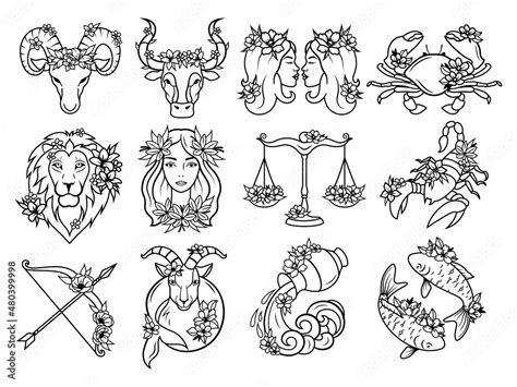 Set Of Floral Zodiac Constellations Collection Of Astrology Signwith