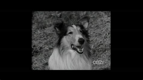 Lassie Episode 13 Sale Of Lassie Season 1 Ep 13 12051954 Youtube