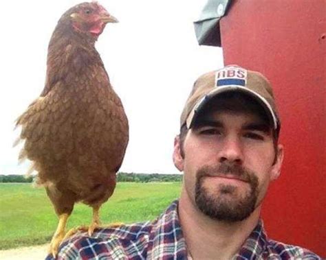 When Farmers Decide To Take Selfies KLYKER COM