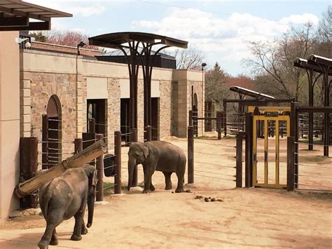 Smithsonian National Zoo Visit This Top Attraction In Trip101