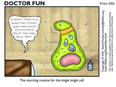 Teaching Cartoons Science Cells And Body Systems Science Cartoons