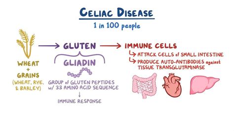 Celiac Disease Diet What Is It Foods Are Eat Foods To Avoid And