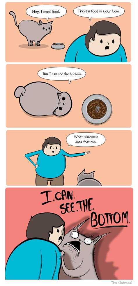 Food In The Bowl The Oatmeal Cat Bowls The Oatmeal Comics Bones Funny